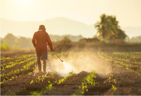 About Us Our Company 01